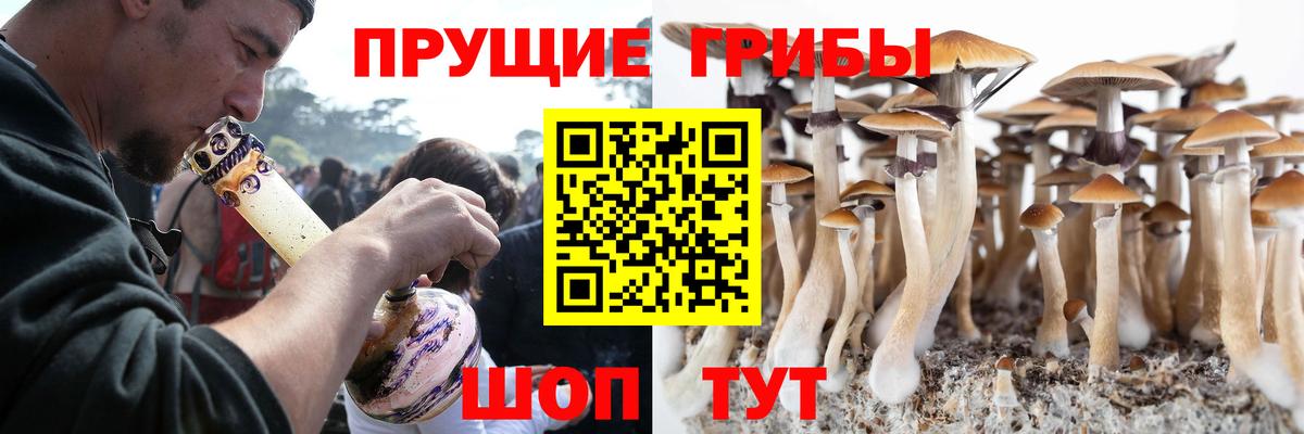 Тобольск  Галлюциногенные грибы Cubensis  Вход с VPN 